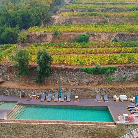 Quinta De Travassinhos- Douro Valley & Spa Santa Marta de Penaguiao Exterior photo