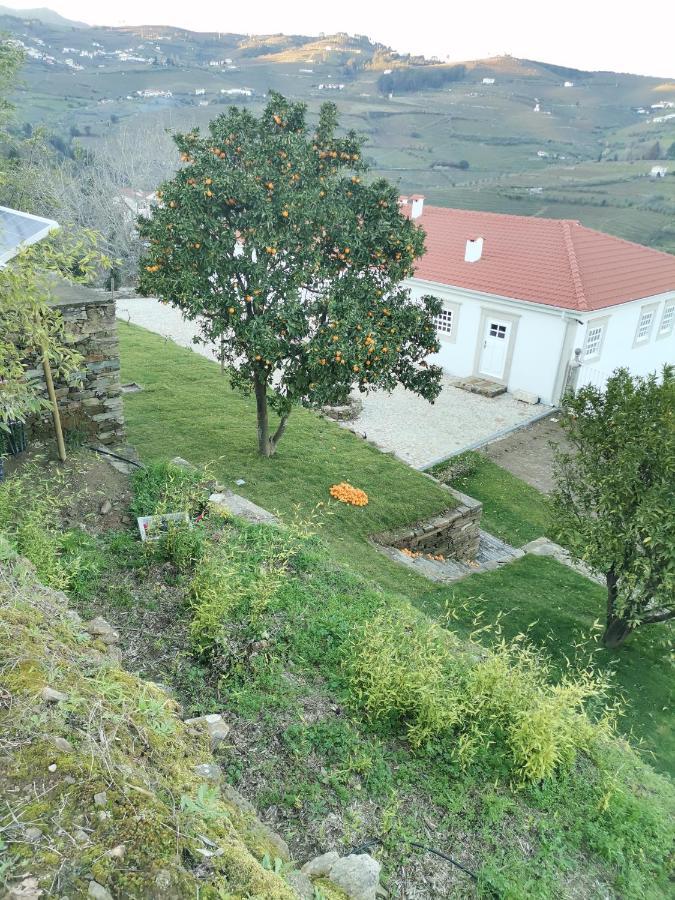 Quinta De Travassinhos- Douro Valley & Spa Santa Marta de Penaguiao Exterior photo