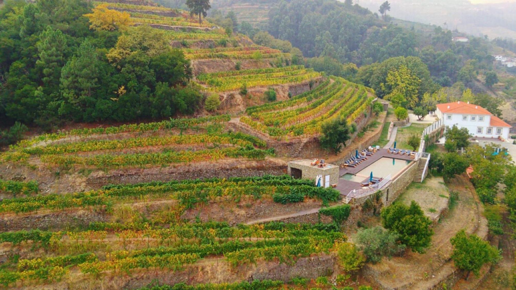 Quinta De Travassinhos- Douro Valley & Spa Santa Marta de Penaguiao Exterior photo